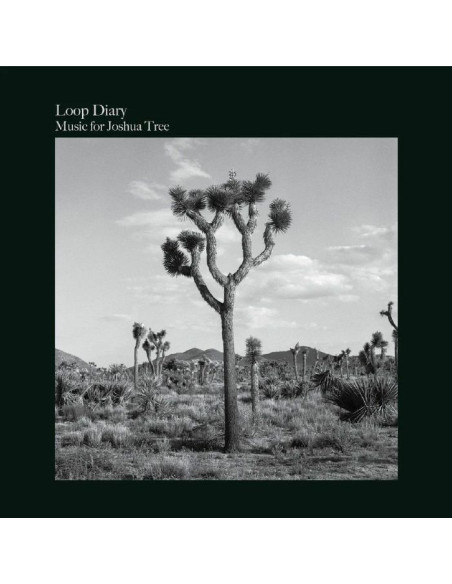 Loop Diary - Music For Joshua Tree