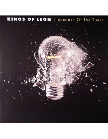 Kings Of Leon - Because Of The Times