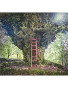 Chesterfield Simon - Simon Chesterfield