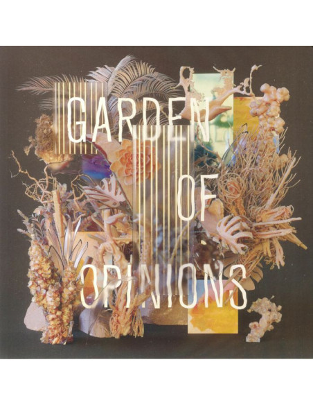Footprint Project - Garden Of Opinions