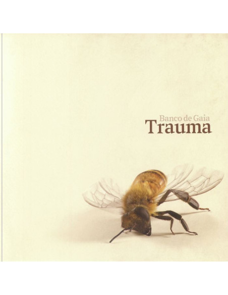 Banco De Gaia - Trauma