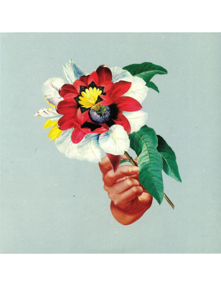 Maribou State - Kingdoms In Colour