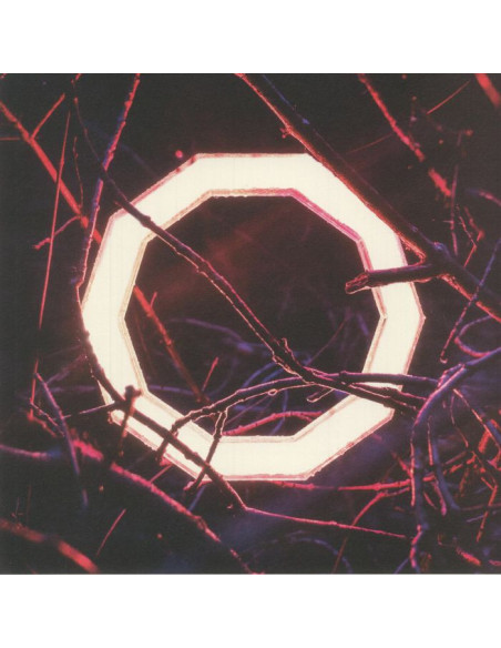 Hybrid Minds - Reflections