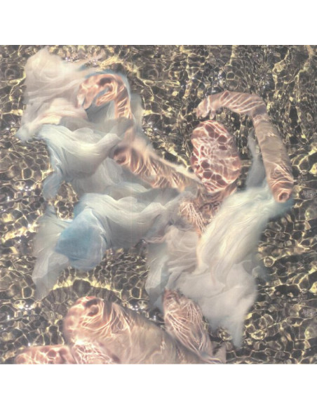 Dolphin Midwives - Body Of Water