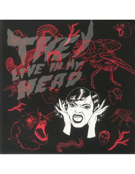 Bush Tetras - They Live In My Head - gatefold LP / booklet with obi-strip