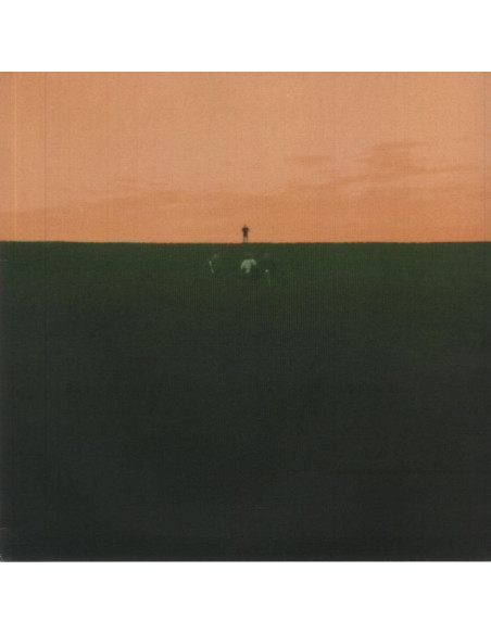 Dust Covered Carpet - Witness Me Pass Out