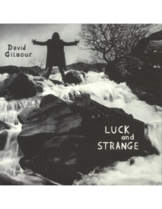 Gilmour David - Luck And Strange - gatefold silver vinyl 2xLP / insert