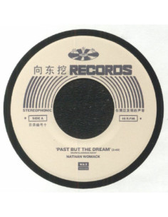 Womack Nathan - Past But The Dream