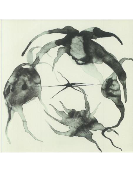 Jaeger Kassel - A Rift In The Horizon'S Wall