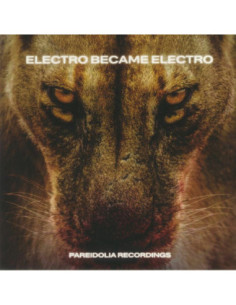 Various - Electro Became Electro