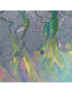 Alt J - An Awesome Wave