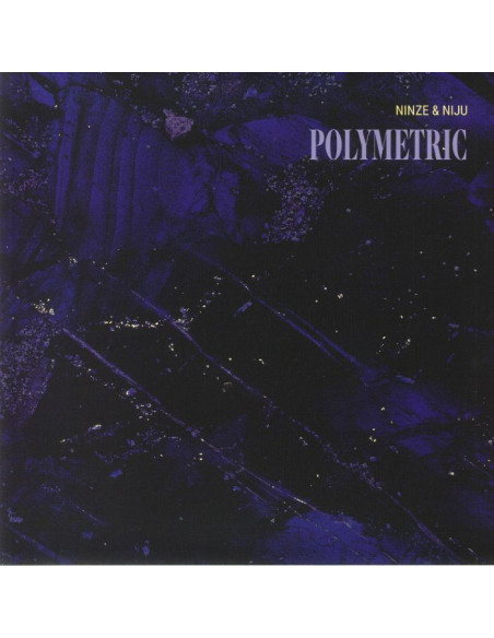 Ninze/Niju - Polymetric Ep