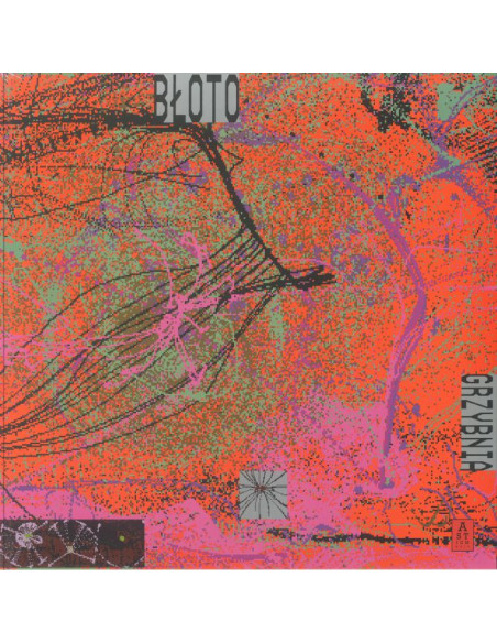 Bloto - Grzybnia