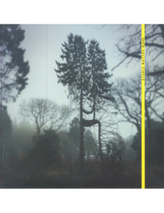 Open Yellow Circle/O Yuki Conjugate - New Meridian