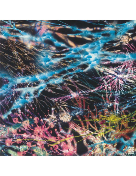 Lcsm Aka Likwid Continual Space Motion - The Remedy