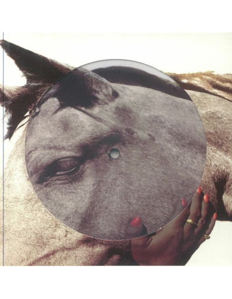 Suede - The Wild Ones (30Th Anniversary Edition)