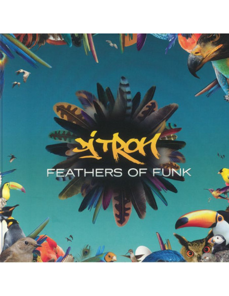 Dj Tron - Feathers Of Funk (Reissue)