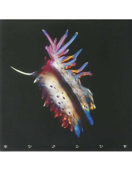 Sub Focus - Evolve - gatefold heavyweight vinyl 2xLP