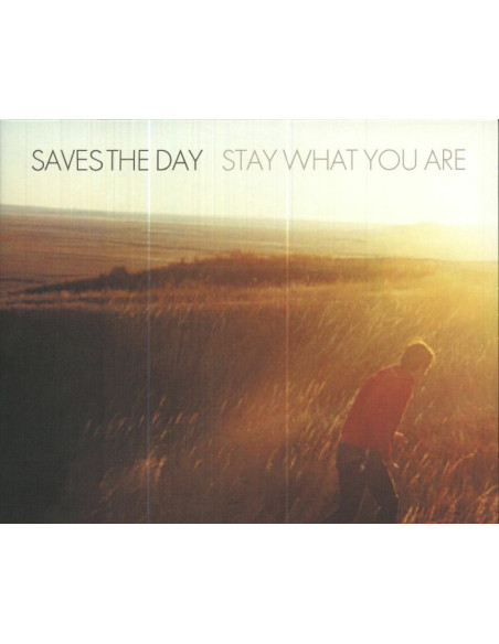 Saves The Day - Stay What You Are (Reissue)