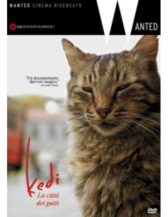 Kedi - La Citta' Dei Gatti