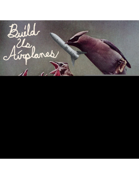 Build Us Airplanes - All Things Expire