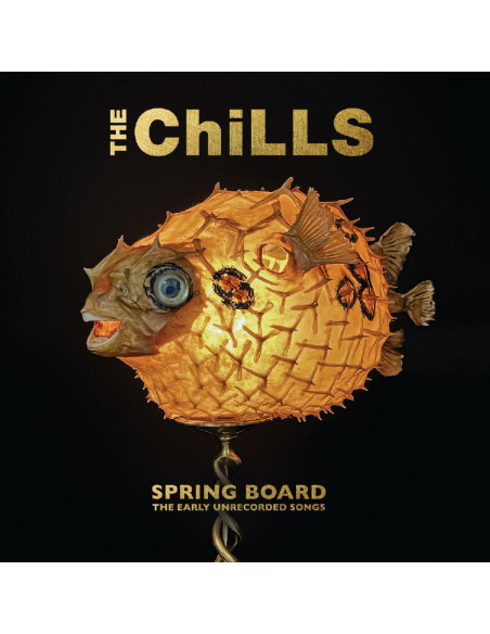 Chills - Spring Board: The Earlyunrecorded Songs