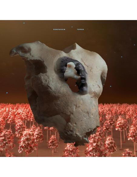 SoapandSkin - Torso