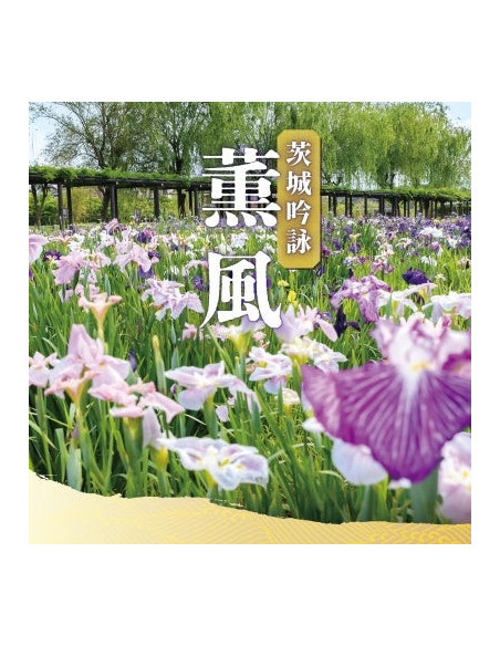 (Traditional Music) - Ibaraki Ginei Kunpuu - (CD)