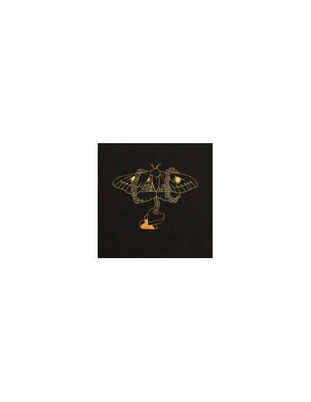 Gray David - Gold In A Brass Age