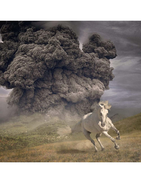 White Buffalo The - Year Of The Dark Horse