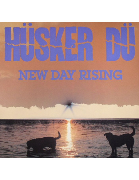 Husker Du - New Day Rising