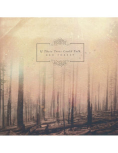 If These Trees Could Talk - Red Forest