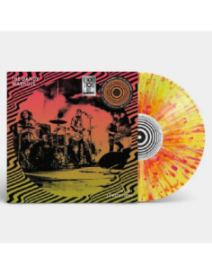 Dandy Warhols, The - Live At Levitation