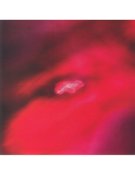 Amini, Siavash Saffronkeira - Faded Orbit