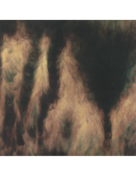 Basinski William - Lamentations