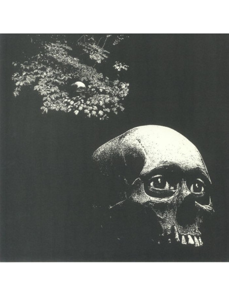 Osees - A Foul Form