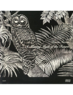 Kaoru Inoue - A Missing Myth Of The Future