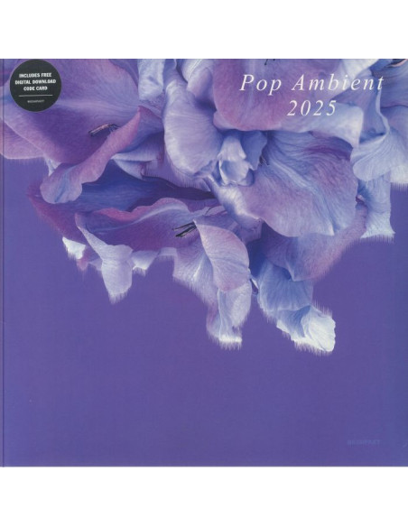 Compilation - Pop Ambient 2025