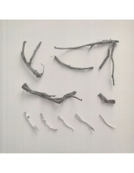 Skeleton Richard - These Charms May Be Sung Over A Wound