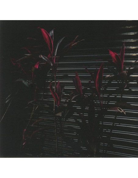 Fine Place - This New Heaven
