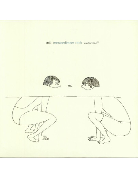 Snik - Metasediment Rock