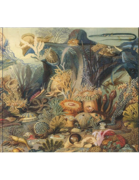 Chypho - Episodes In Oceanography Vol 2 - (Cd)