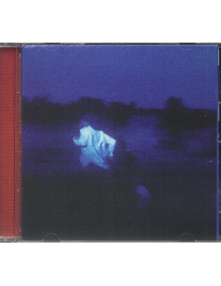Daniel Caesar - Never Enough - (Cd)