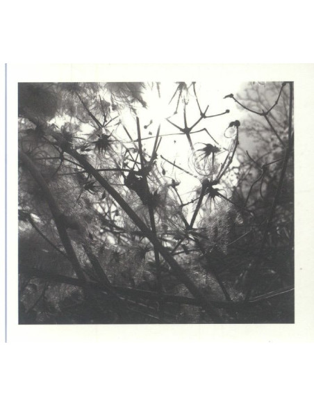 Joachim Spieth - Irradiance - (Cd)