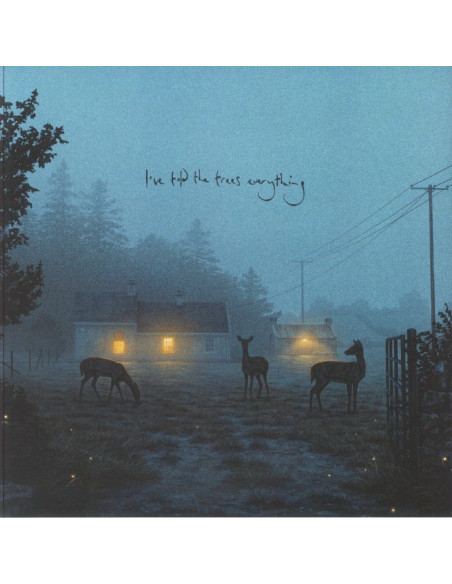Dermot Kennedy - I'Ve Told The Trees Everything