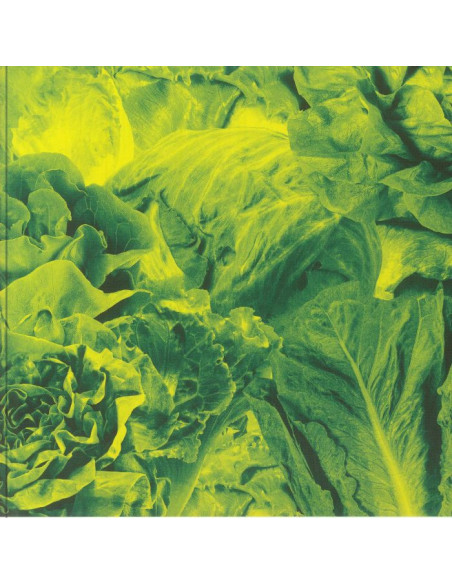 Lettuce - Monorail 3000