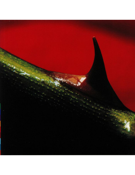 Nusrat Fateh Ali/Michael Brook Khan - Night Song (Reissue)