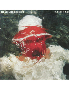 Pale Jay - Bewilderment sp