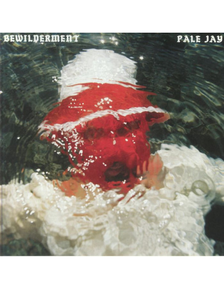 Pale Jay - Bewilderment sp