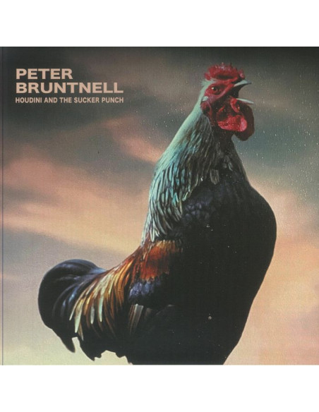 Peter Bruntnell - Houdini and The Sucker Punch